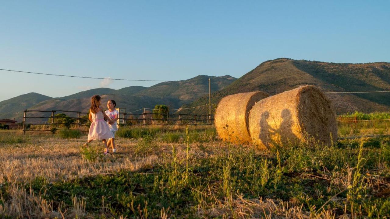 Casale Cavatella Bed & Breakfast Sermoneta Exterior photo
